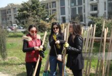 Photo of Перово: акция по посадке деревьев