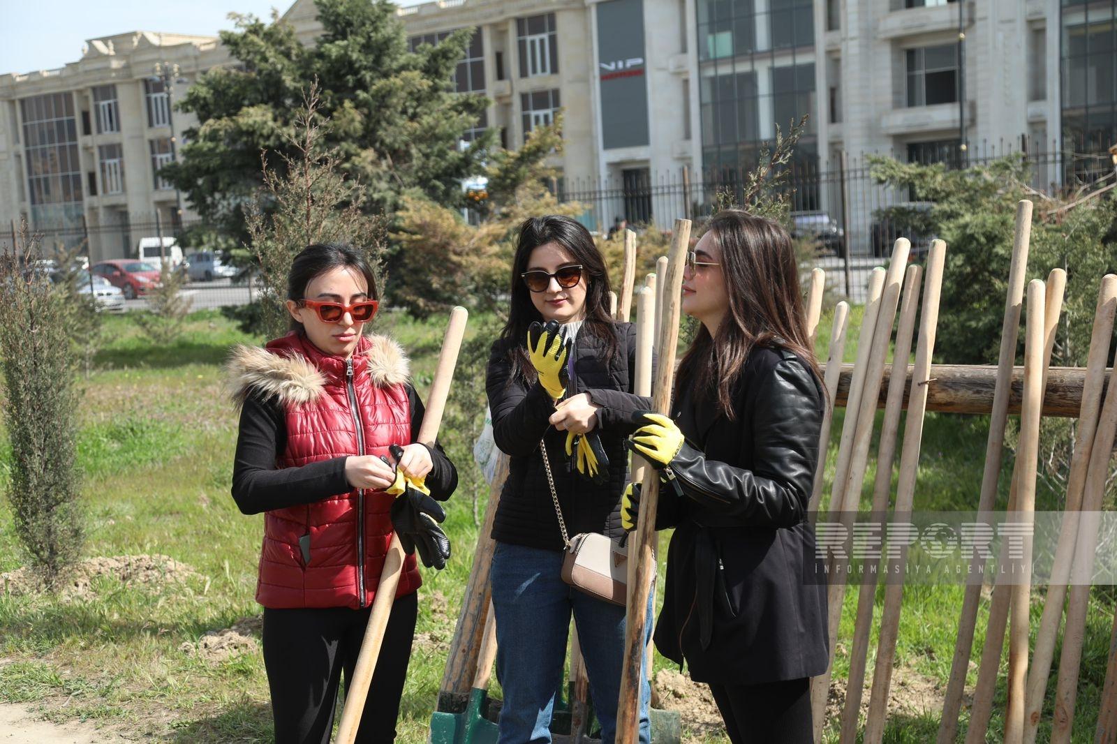 Фото 22 — Перово: акция по посадке деревьев